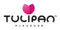 Tulipan